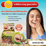 ISME Rasyan Clove Herbal Toothpaste Coconut Oil Oral for Fresh Breath 25 g