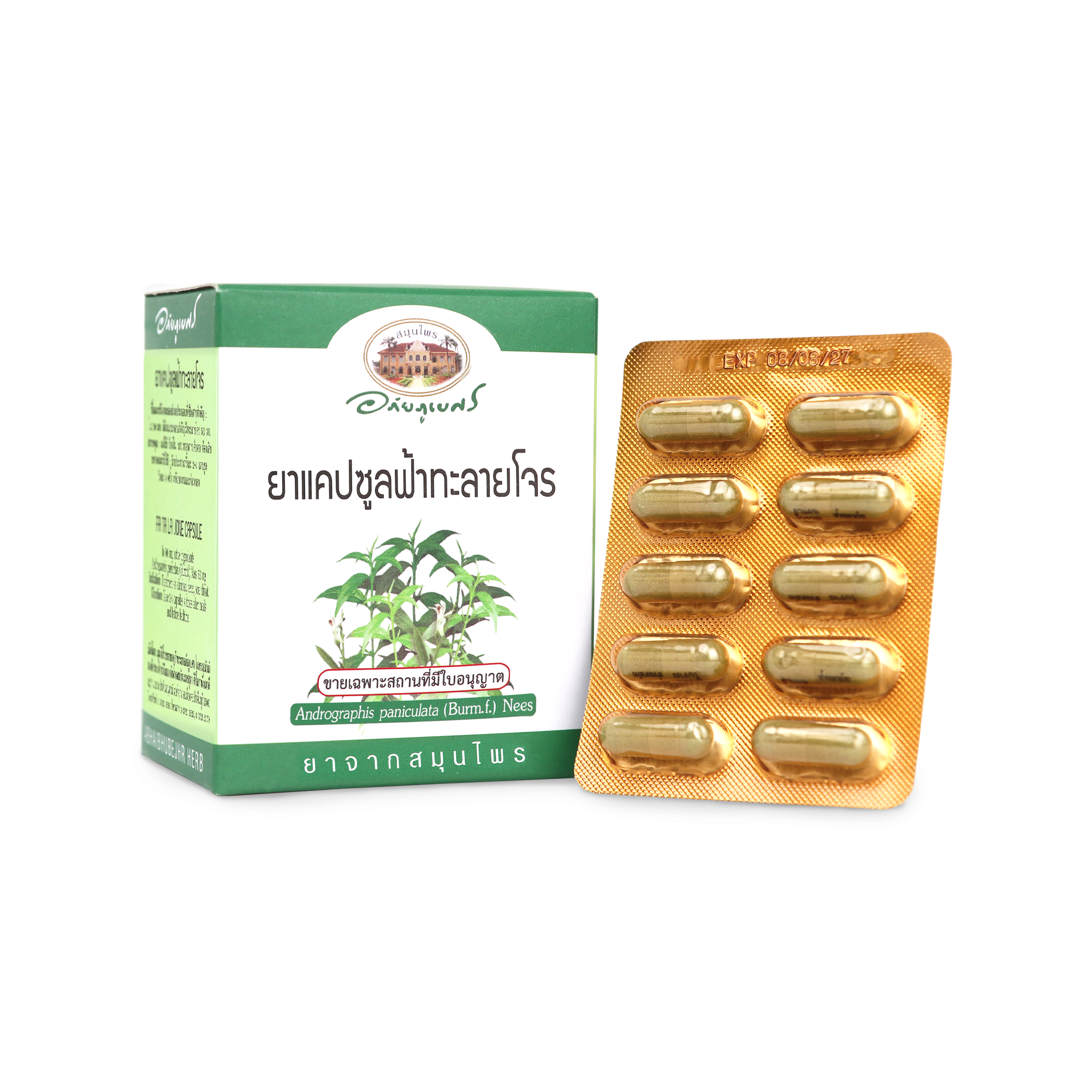 Abhaibhubejhr Andrographis Capsules 500mg for Seasonal Immune Support 60 Capsules