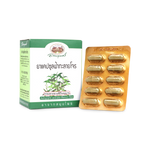 Abhaibhubejhr Andrographis Capsules 500mg for Seasonal Immune Support 60 Capsules