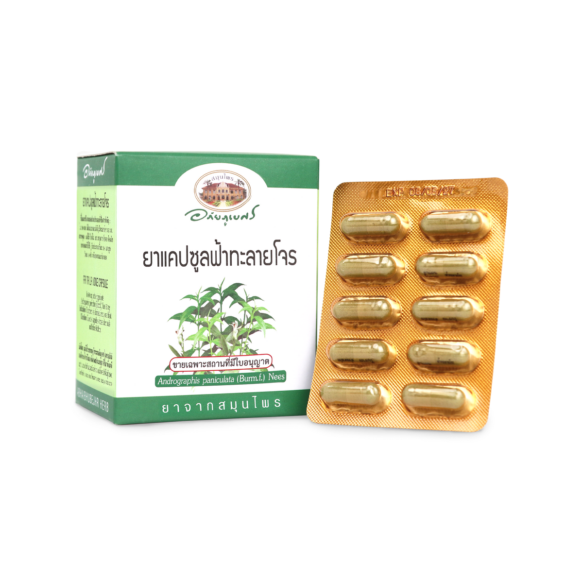 Abhaibhubejhr Andrographis Capsules 500mg for Seasonal Immune Support 60 Capsules