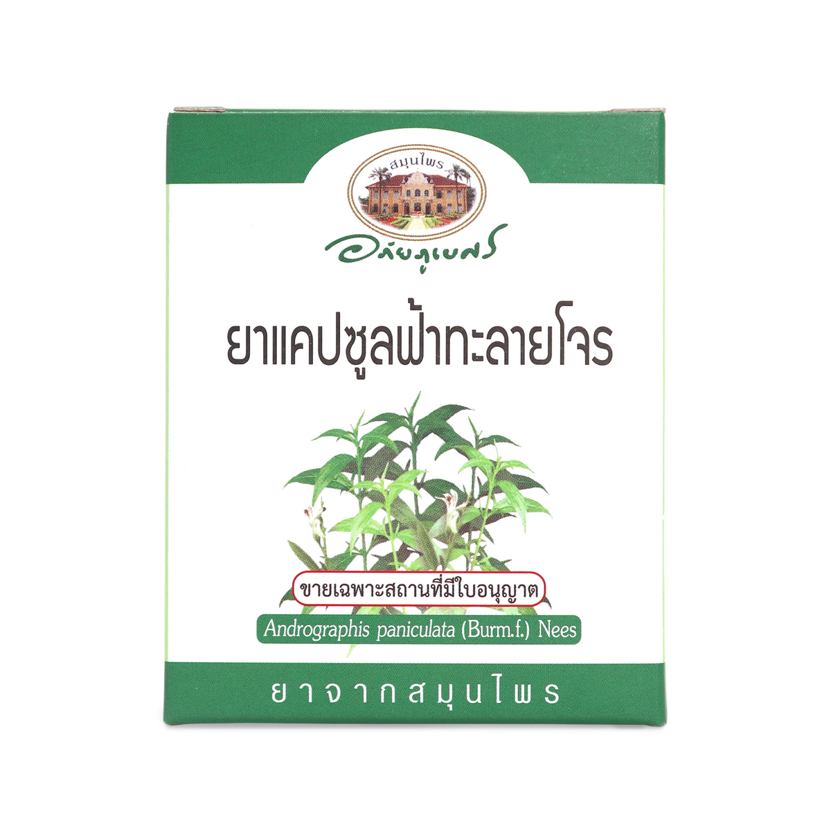 Abhaibhubejhr Andrographis Capsules 500mg for Seasonal Immune Support 60 Capsules
