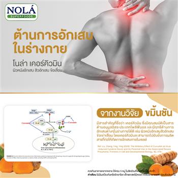 Nola Curcumin Turmeric Vegan Capsules for Daily Antioxidant Support 60 Capsules