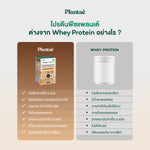 Plantae Complete Plant Protein Bubble Milk Tea Powder Box for Muscle Recovery