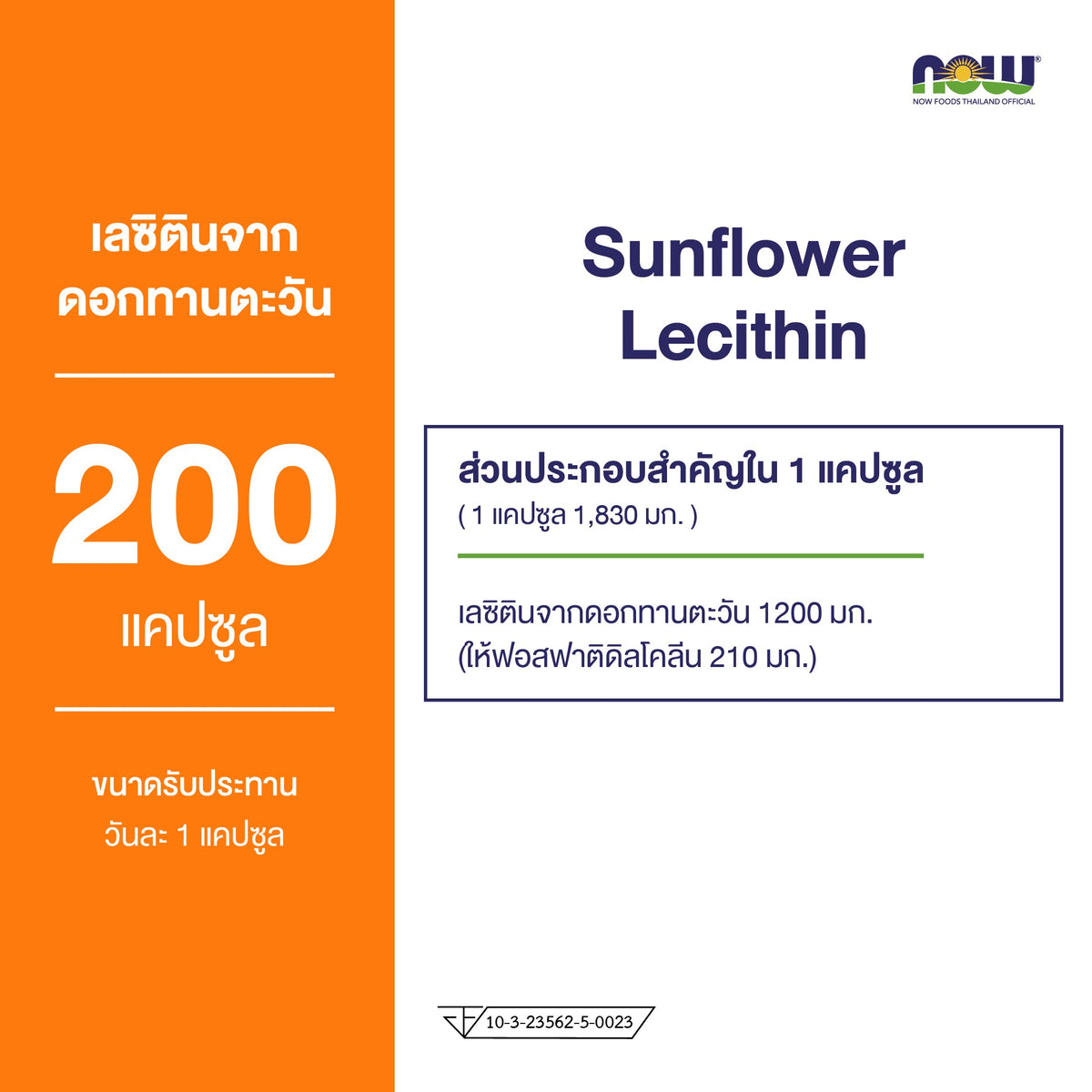 NOW Foods Sunflower Lecithin 1200mg Soy Free for Everyday Wellness 100 Softgels