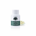 Giffarine Ginkgola Ginkgo Biloba Extract 40mg for Everyday Mental Alertness 60 Capsules