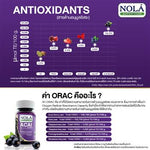 Nola Freeze Dried Acai Berry Vegan Capsules for Antioxidant Support 30 Capsules