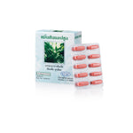 Giffarine Turmeric Capsules 300mg for Digestive Comfort 50 Capsules