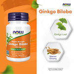NOW Foods Ginkgo Biloba Double Strength 120mg for Memory and Circulation Support 50 Veg Capsules