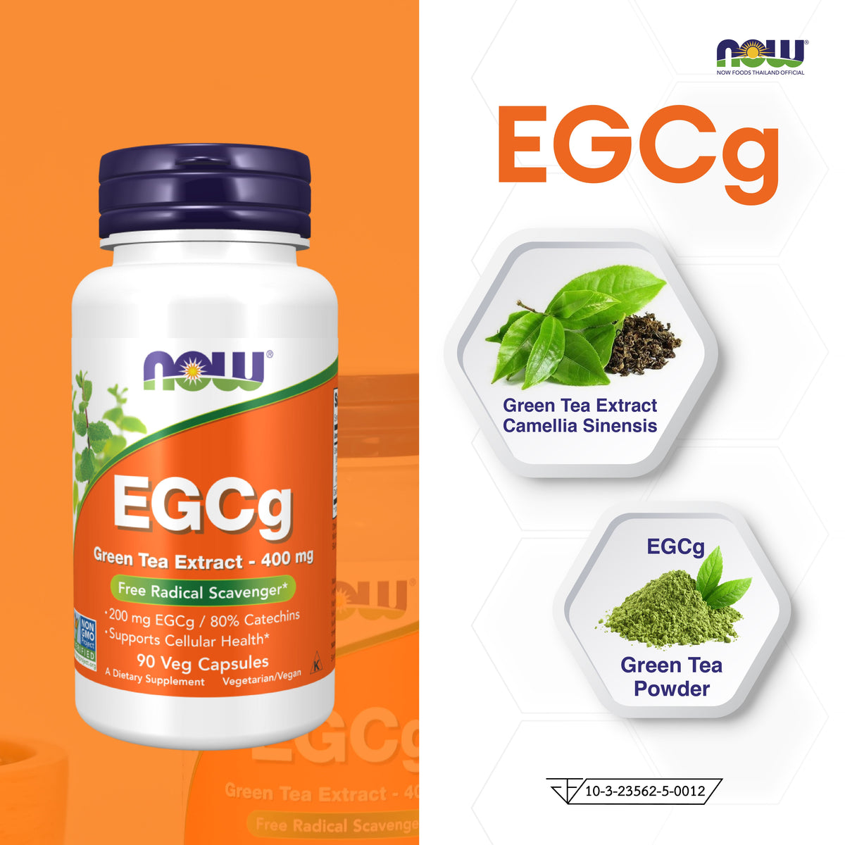NOW Foods Green Tea Extract 400mg for Antioxidant Support 90 Veg Capsules