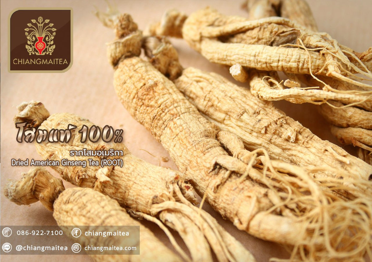 Chiang Mai Tea American Ginseng Root Tea Medium Slices for Everyday Energy 250 g