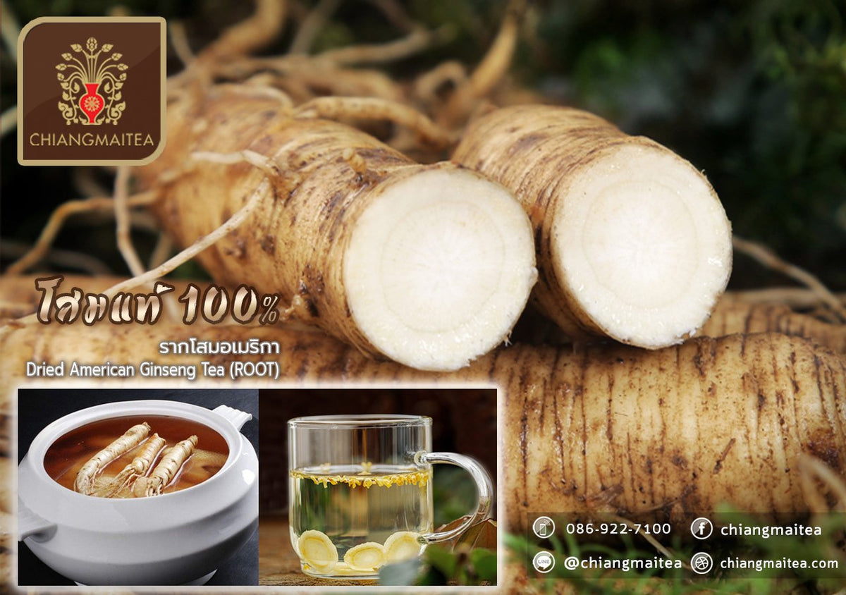 Chiang Mai Tea American Ginseng Root Tea Medium Slices for Everyday Energy 250 g