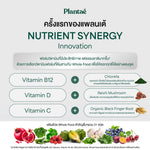 Plantae One A Day Active M Plus Multivitamin Tablets for Everyday Wellness 42 g