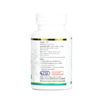 Abhaibhubejhr Andro Andrographis Extract Capsules ‚ 45 Capsules
