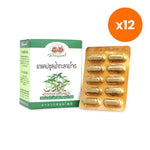 Abhaibhubejhr Andrographis Capsules 500mg for Seasonal Immune Support 60 Capsules