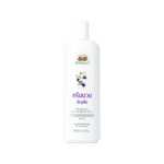Abhaibhubejhr Butterfly Pea Hair Conditioner ‚ 300 ml