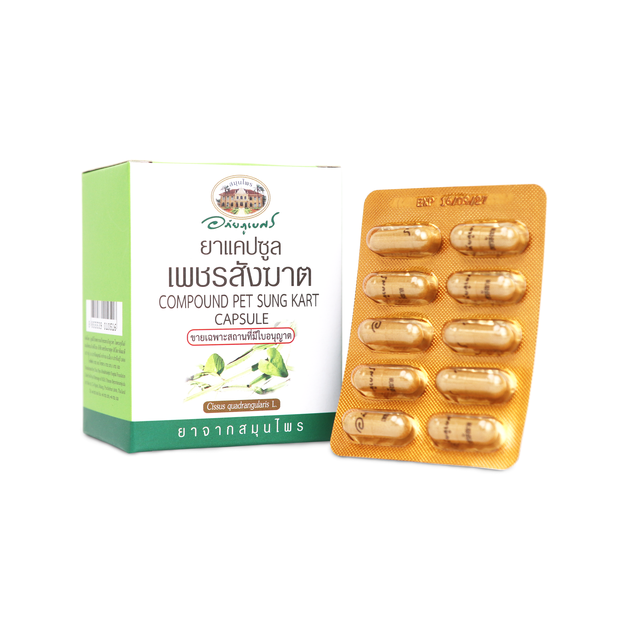 Abhaibhubejhr Cissus Quadrangularis Capsules ‚ 60 Capsules (6 Strips)