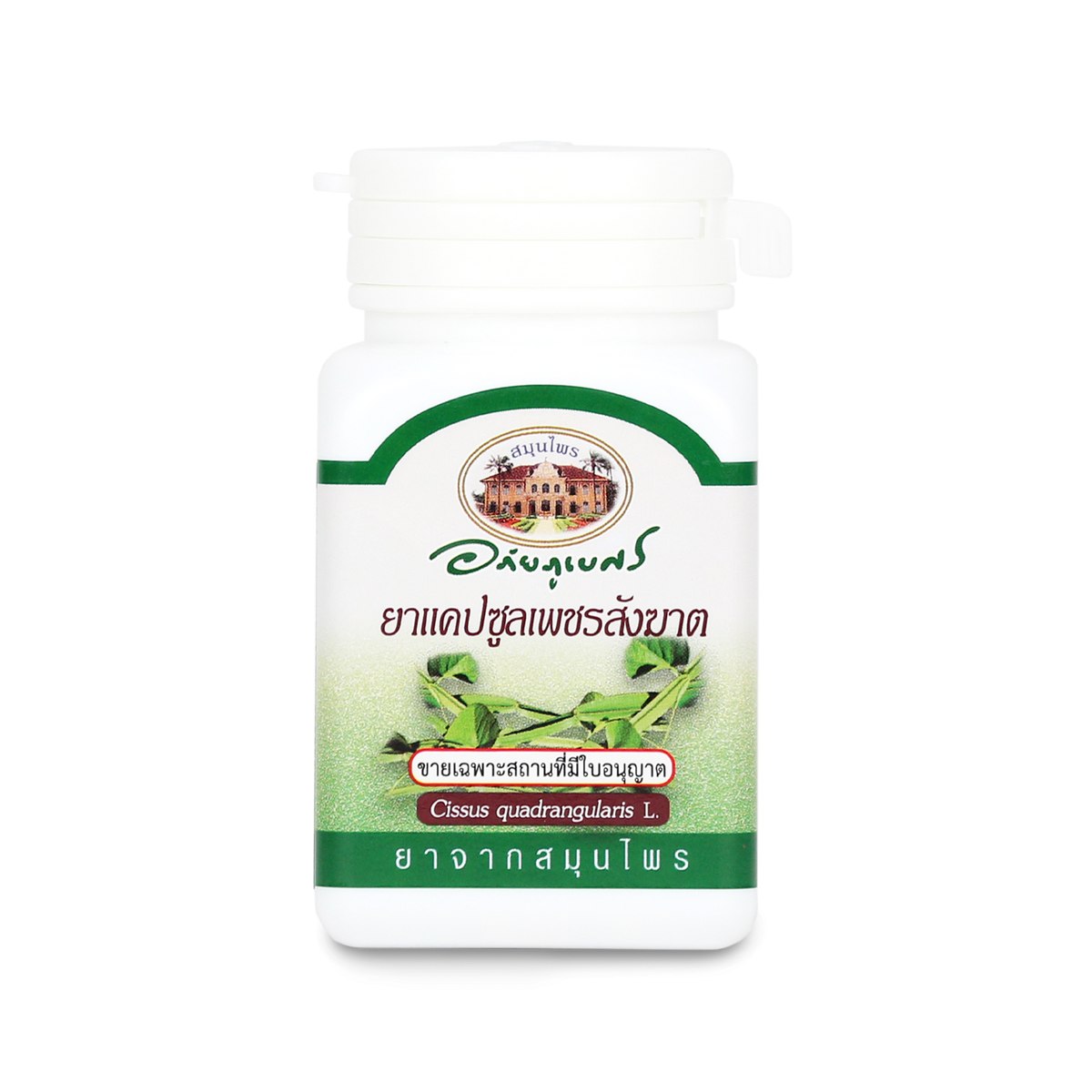 Abhaibhubejhr Cissus Quadrangularis Capsules ‚ 70 Capsules