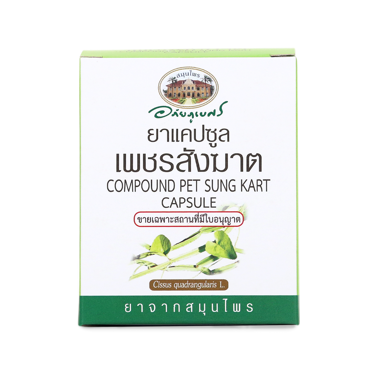 Abhaibhubejhr Cissus Quadrangularis Capsules ‚ 60 Capsules (6 Strips)