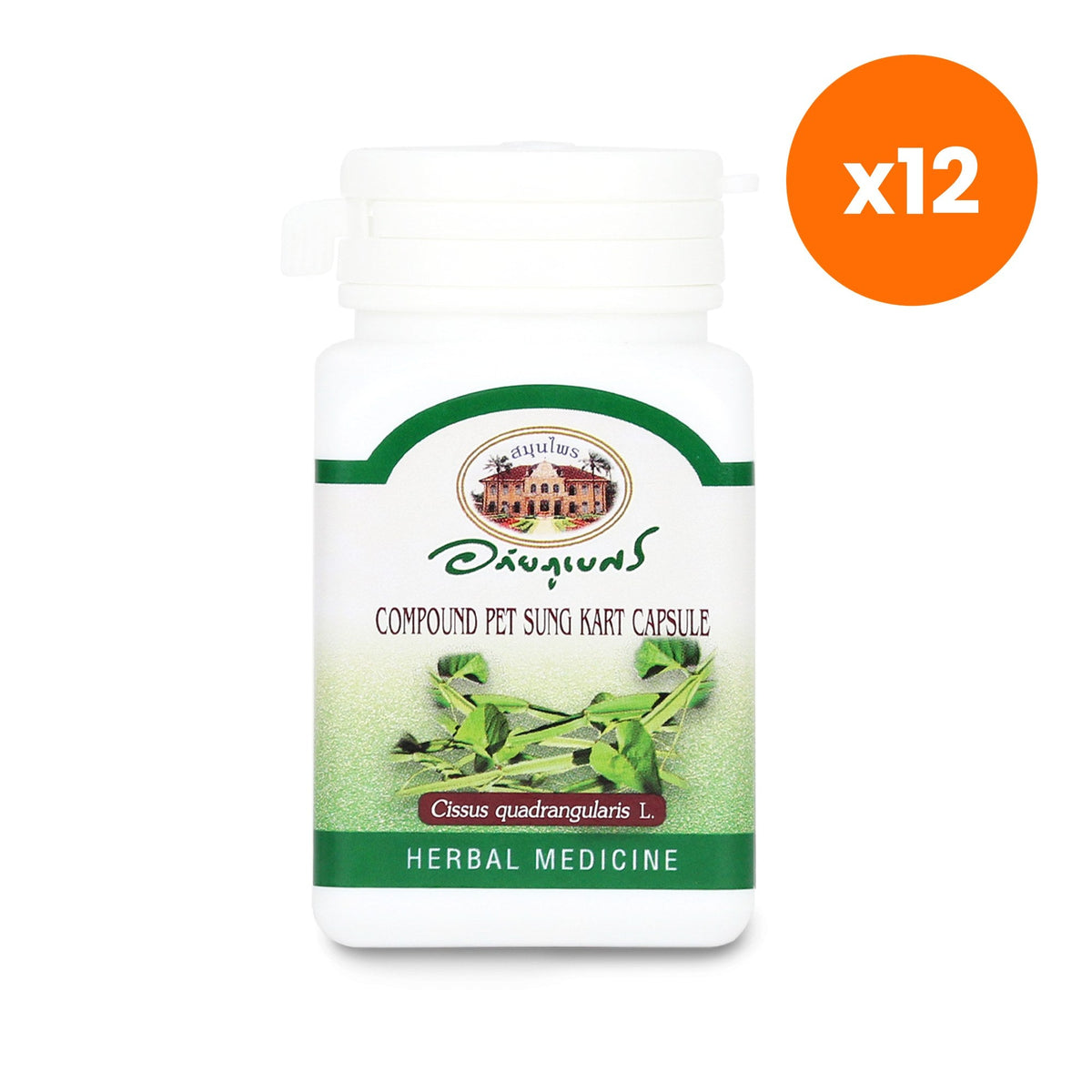 Abhaibhubejhr Cissus Quadrangularis Capsules for Traditional Thai Wellness 70 Capsules
