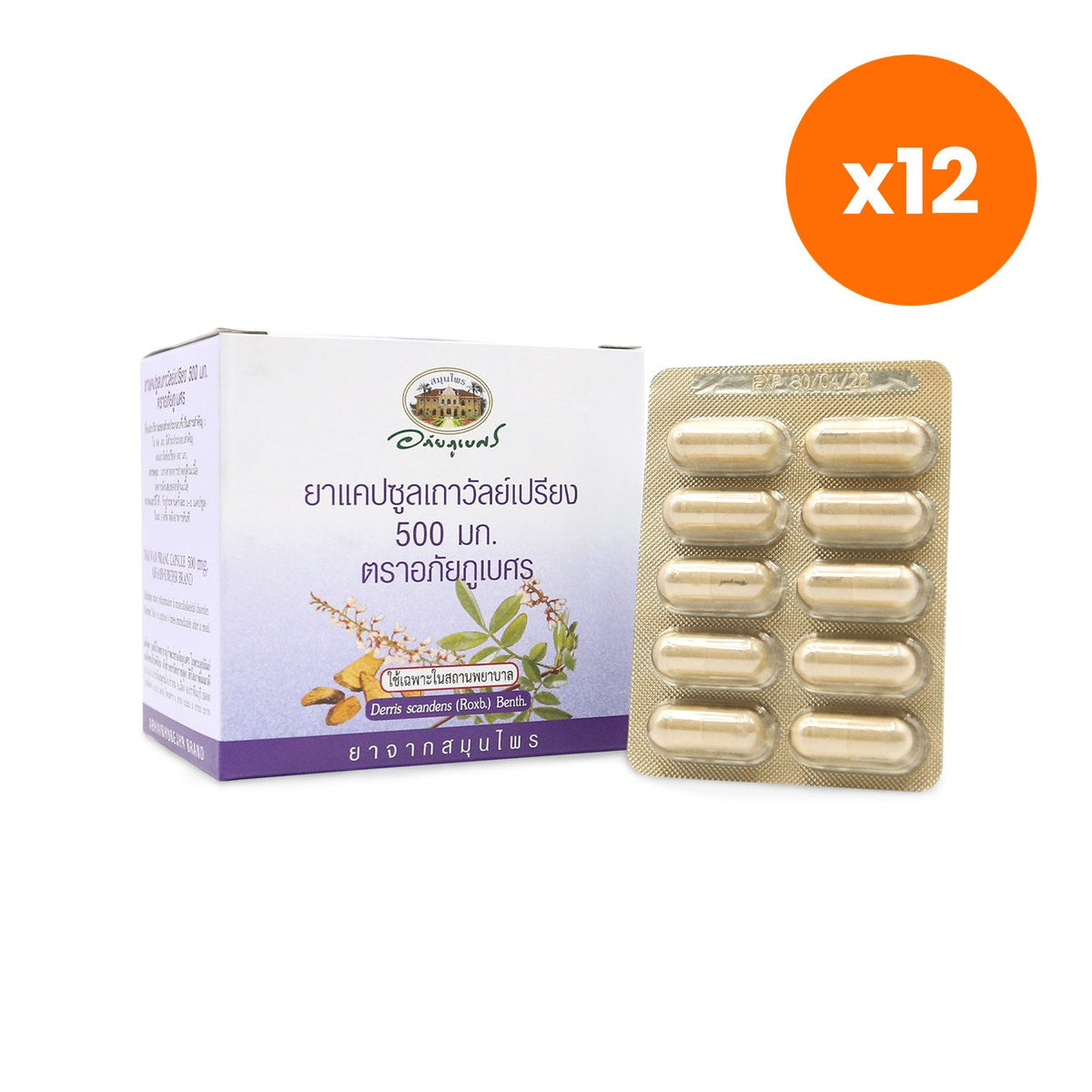 Abhaibhubejhr Derris Scandens Capsules 500mg for Muscle Comfort 100 Capsules