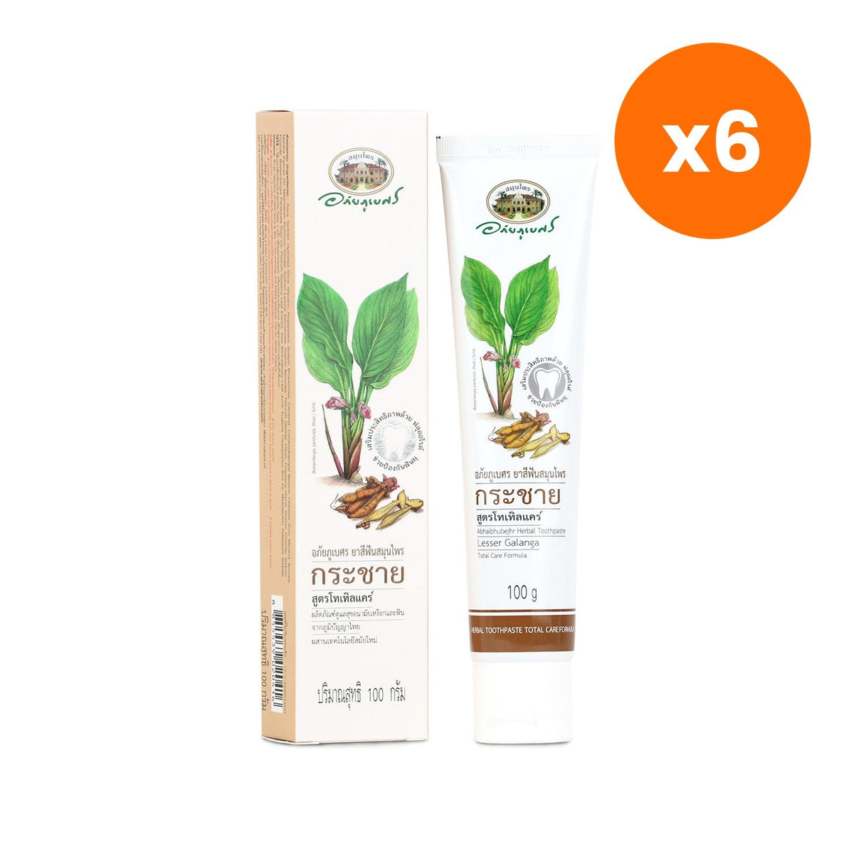 Abhaibhubejhr Fingerroot Herbal Toothpaste Breath Freshener for Healthy Gums and Teeth 100 g
