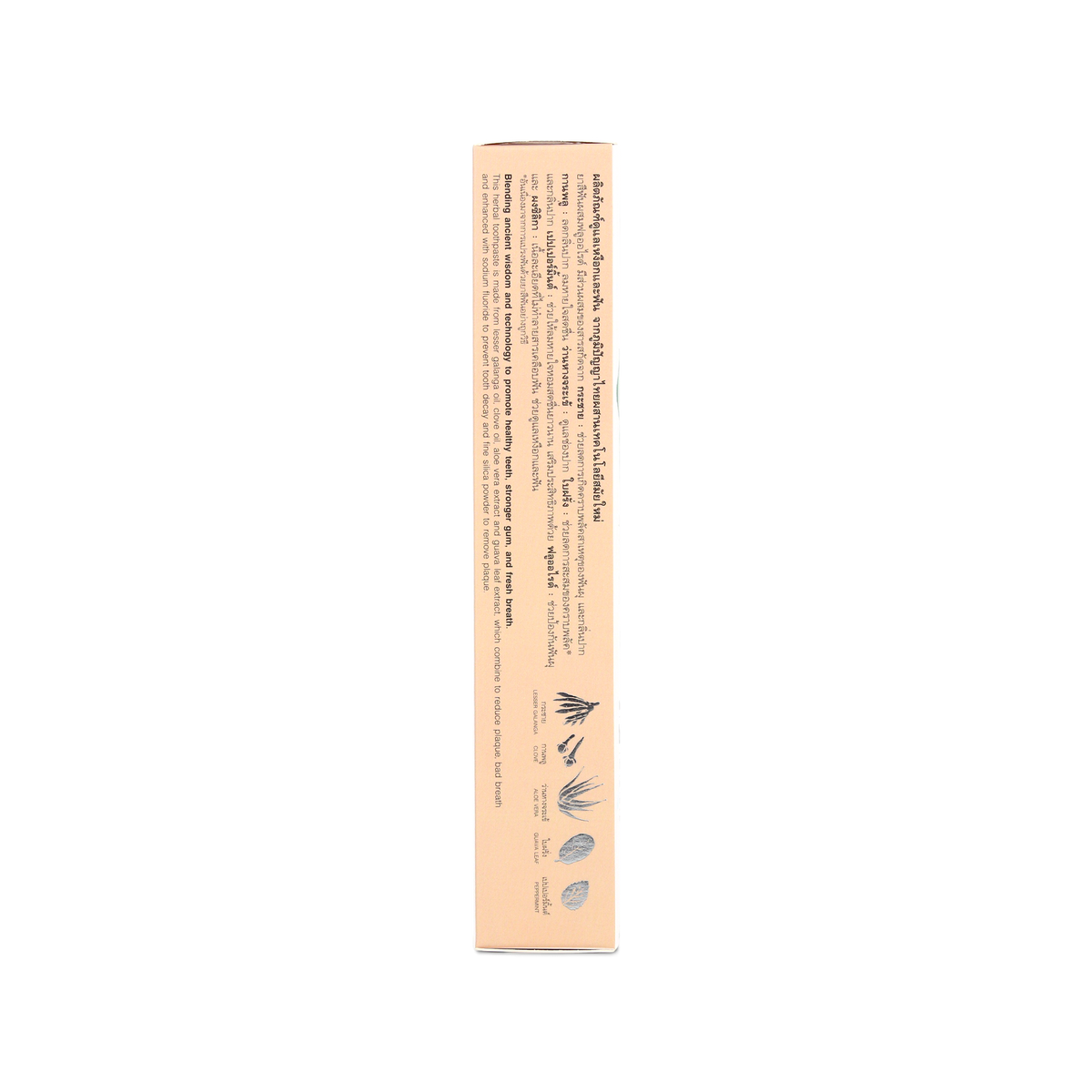 Abhaibhubejhr Fingerroot Total Care Herbal Toothpaste ‚ 100 g