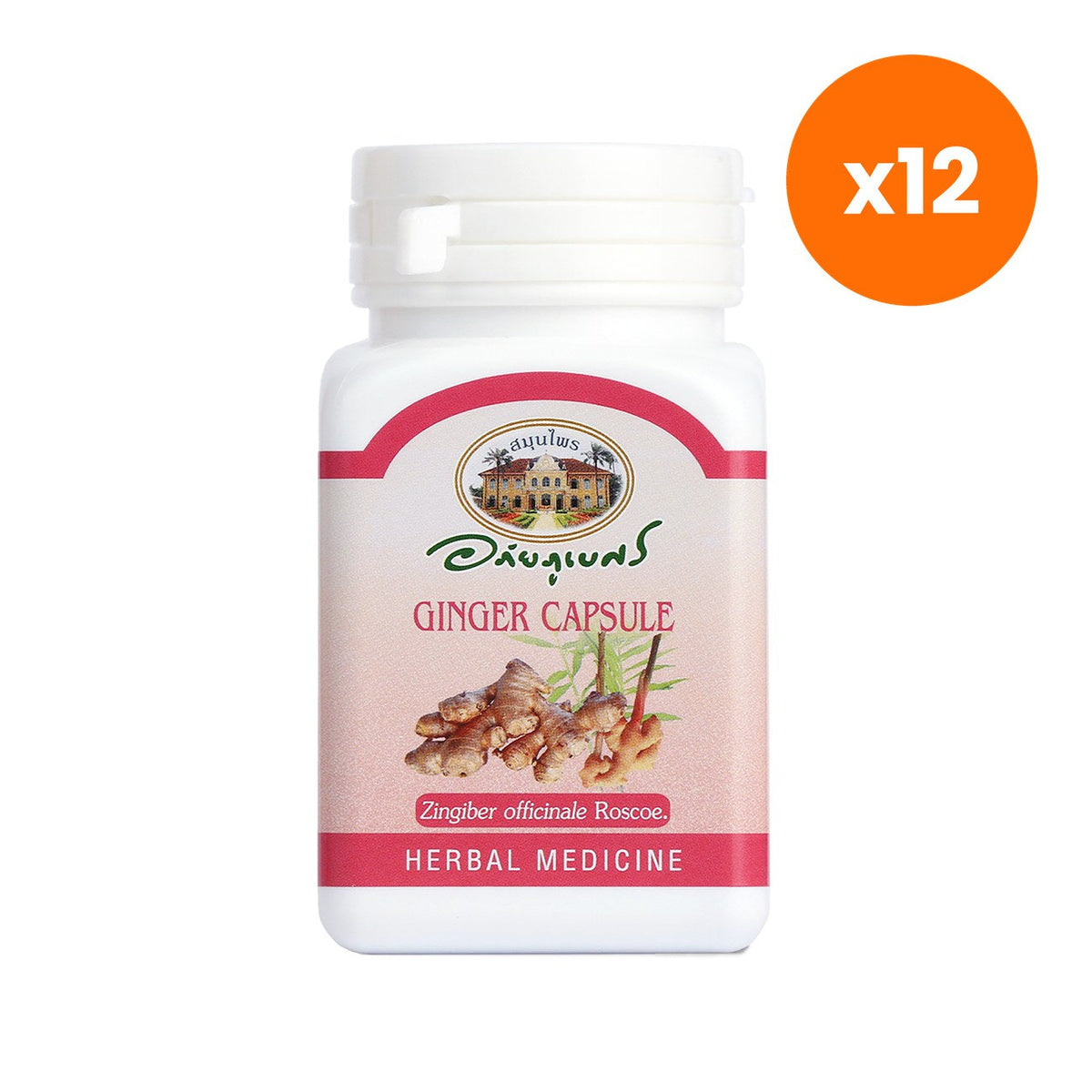 Abhaibhubejhr Ginger Capsules for Digestive Comfort 70 Capsules