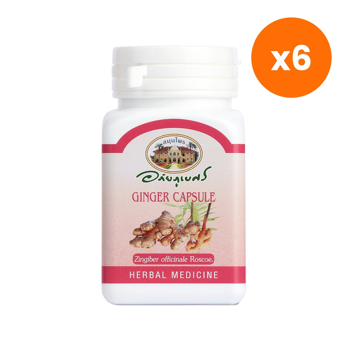 Abhaibhubejhr Ginger Capsules for Digestive Comfort 70 Capsules