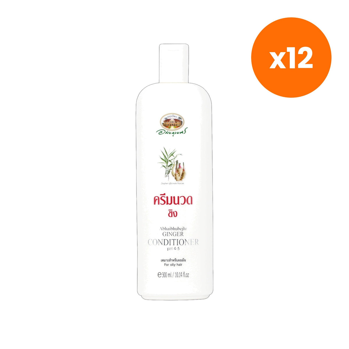 Abhaibhubejhr Ginger Hair Conditioner Oily for Balanced Scalp Care 300 ml