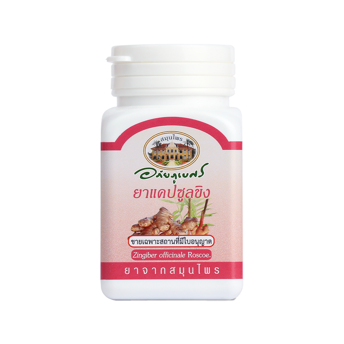 Abhaibhubejhr Ginger (Zingiber Officinale) Capsules ‚ 70 Capsules
