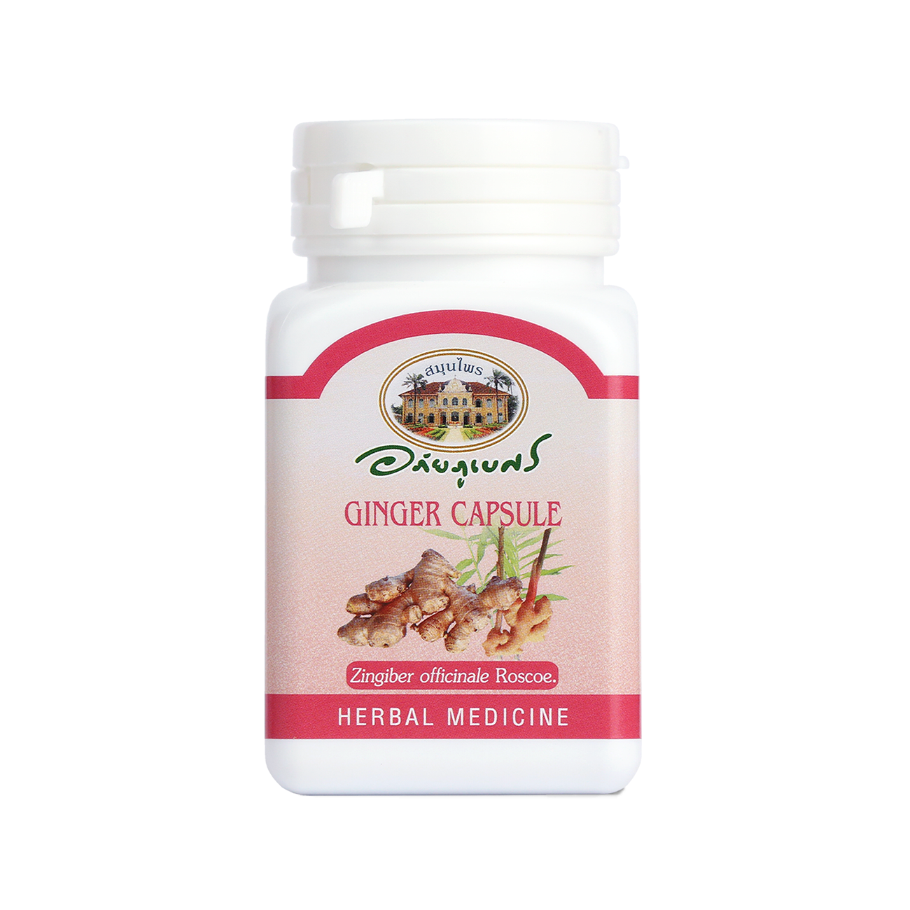 Abhaibhubejhr Ginger (Zingiber Officinale) Capsules ‚ 70 Capsules