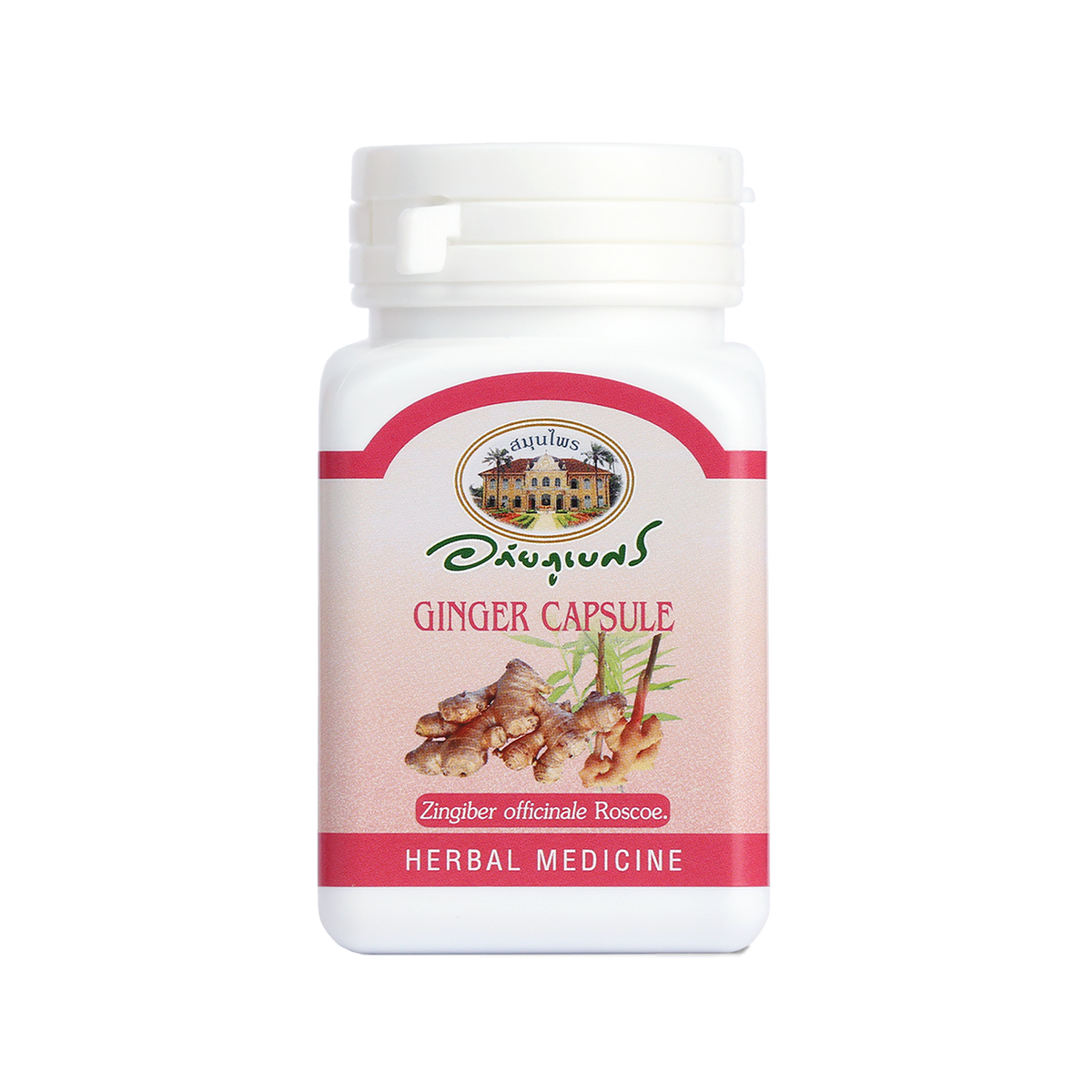 Abhaibhubejhr Ginger (Zingiber Officinale) Capsules ‚ 70 Capsules