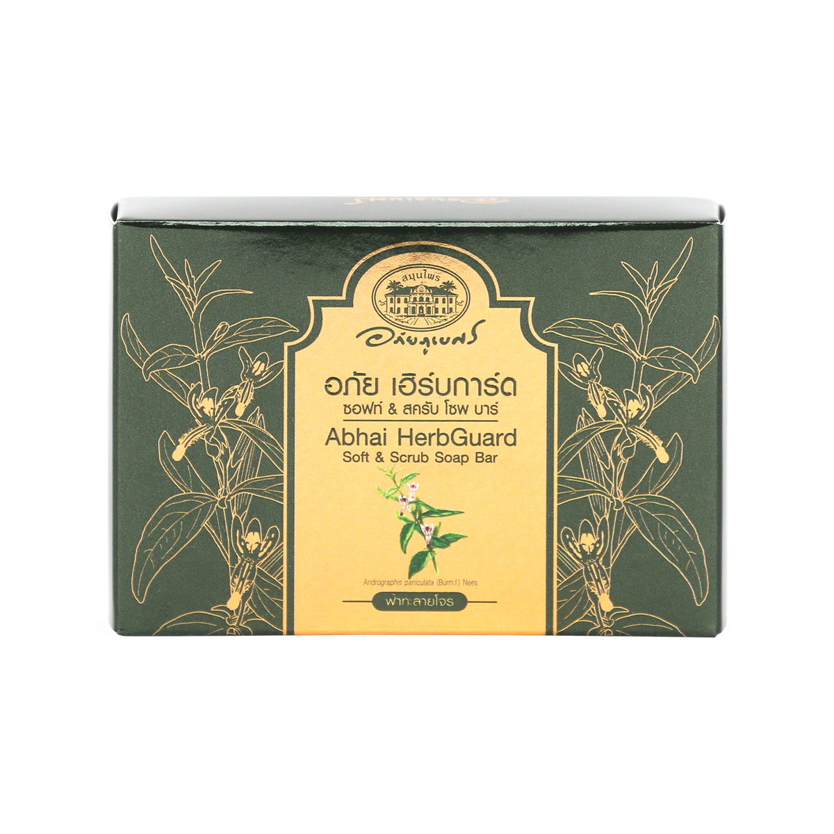 Abhaibhubejhr Herbguard Soft and Scrub Soap Bar ‚ 100 g
