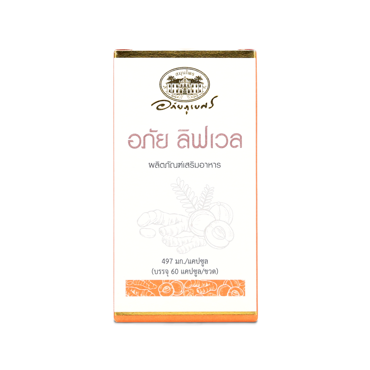 Abhaibhubejhr Livwell Turmeric and Amla Capsules ‚ 60 Capsules