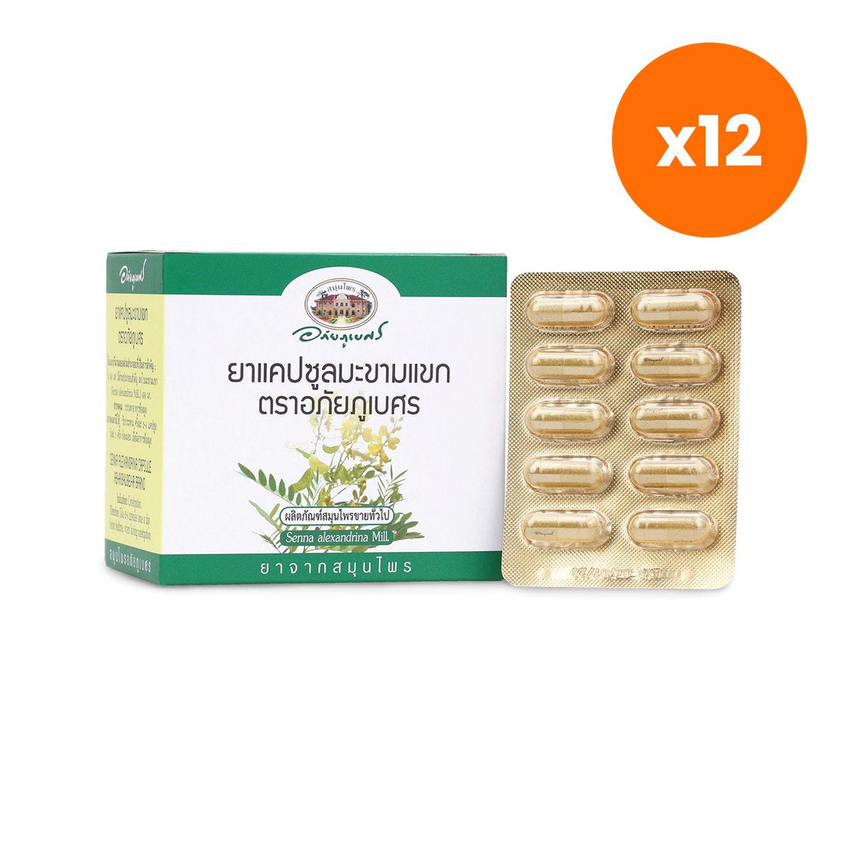Abhaibhubejhr Senna Leaf Capsules for Digestive Regularity 100 Capsules