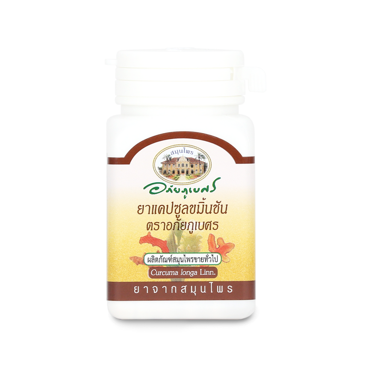 Abhaibhubejhr Turmeric (Curcuma Longa) Capsules ‚ 60 Capsules