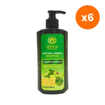 Bualuang Natural Herbal Shampoo for Scalp and Hair Care 500 ml – 6 pack bundle