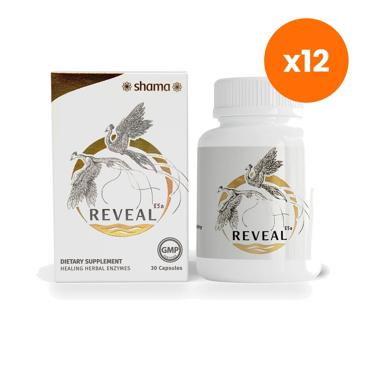 Chama Herbs Revil Mushroom Herb Enzyme Capsules for Immune and Digestive Support 30 Capsules