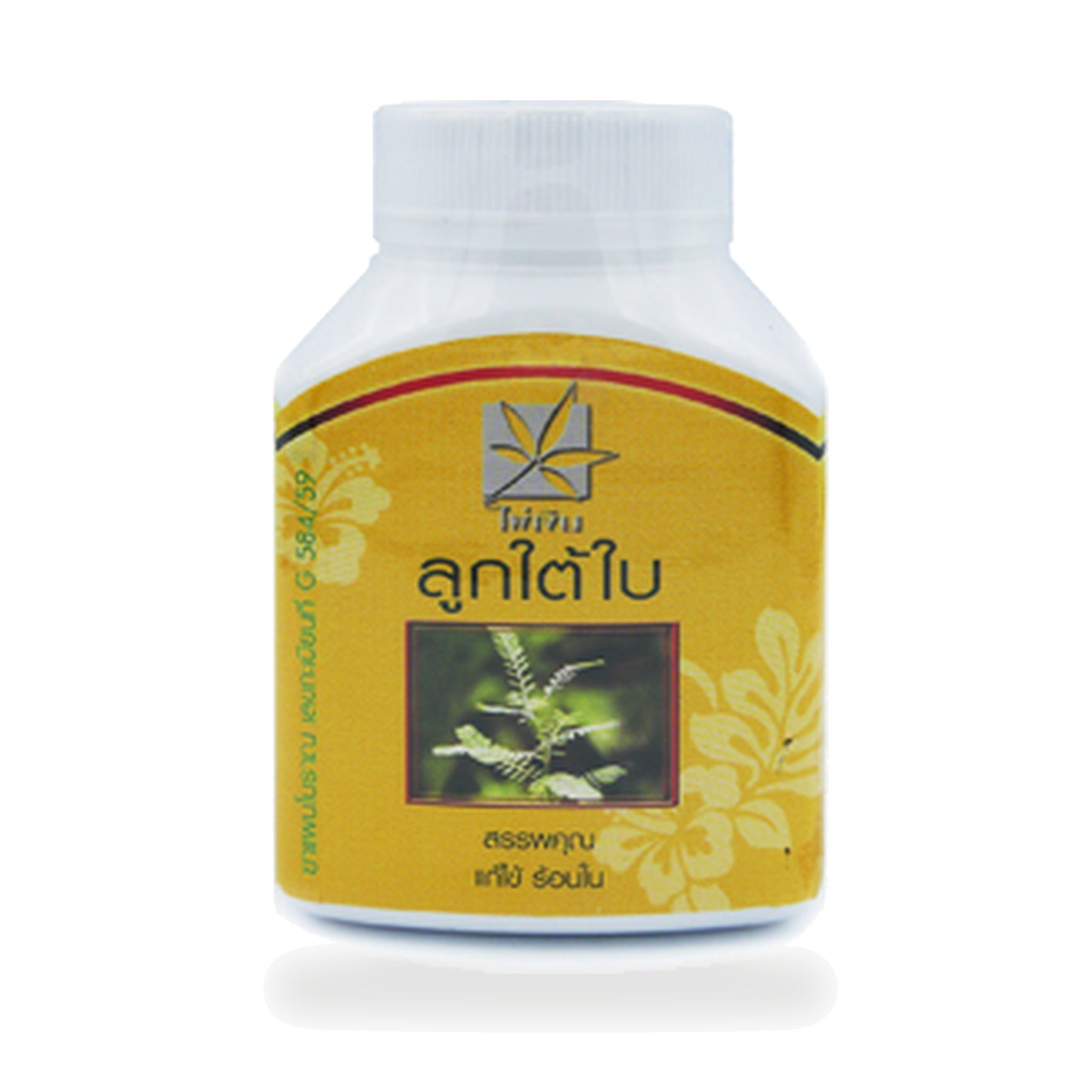 Chanca Piedra Herbal Capsules ‚ 100 Capsules
