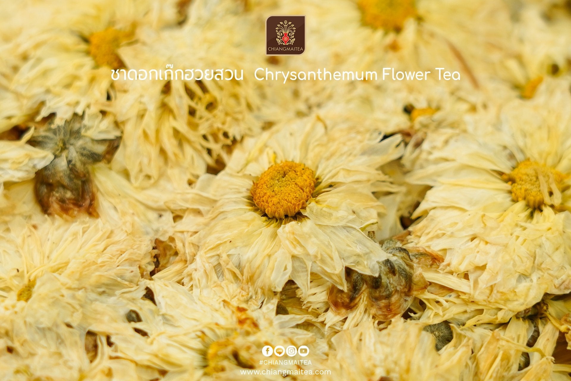 Chiang Mai Tea Dried Chrysanthemum Flowers, Garden Grade ‚ 500 g