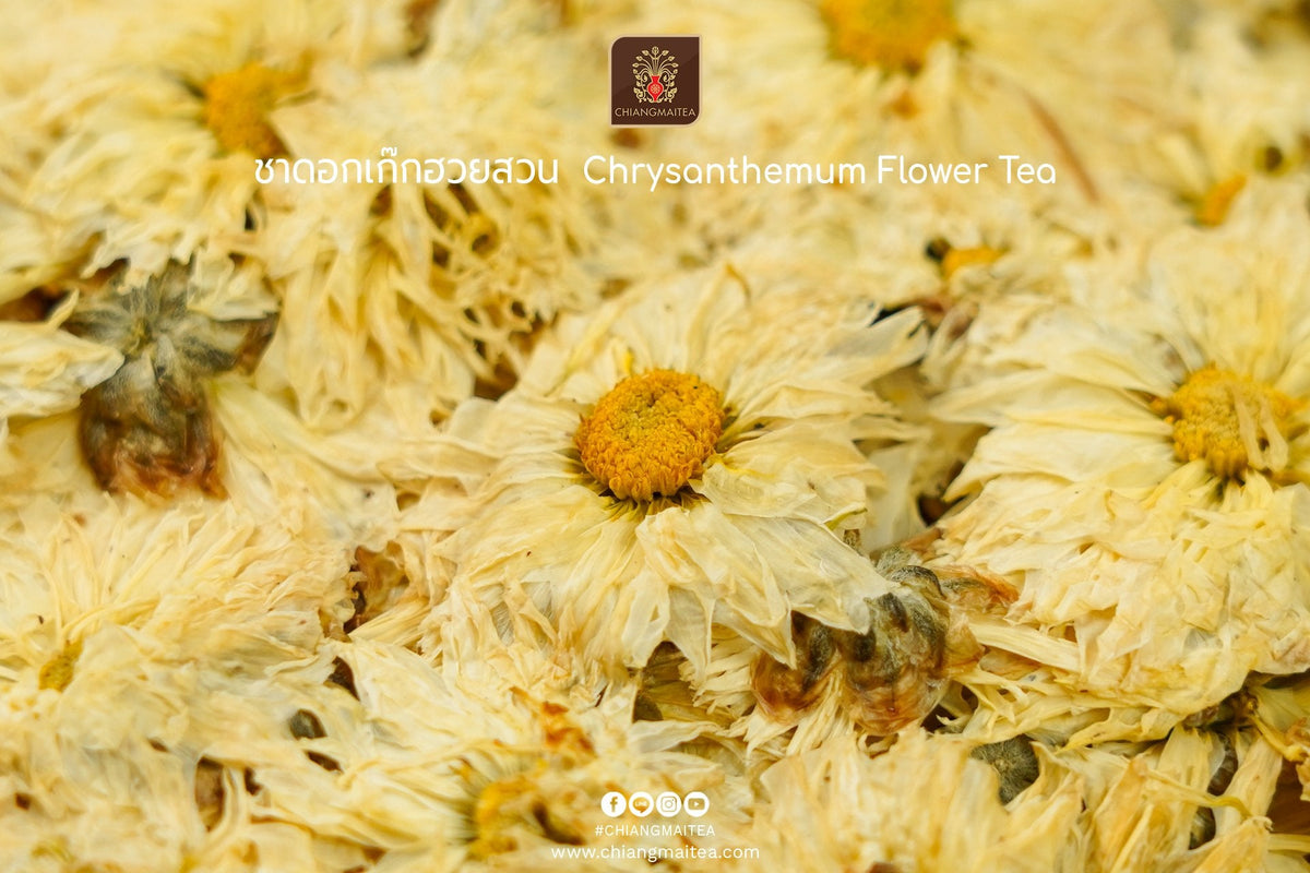 Chiang Mai Tea Dried Chrysanthemum Flowers, Garden Grade ‚ 500 g