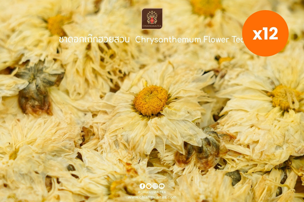 Chiang Mai Tea Dried Chrysanthemum Flowers Garden Grade Cooling Tea for Eye Health Support 500 g