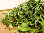 Chiang Mai Tea Dried Stevia Leaf Natural Sweetener ‚ 1 kg