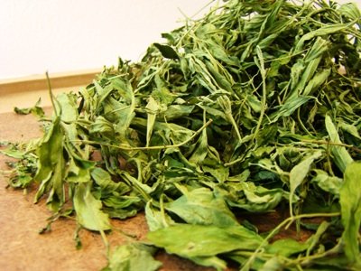 Chiang Mai Tea Dried Stevia Leaf Natural Sweetener ‚ 1 kg