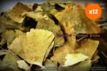Chiang Mai Tea Ginkgo Biloba Herbal Tea for Memory and Focus Support 1 kg