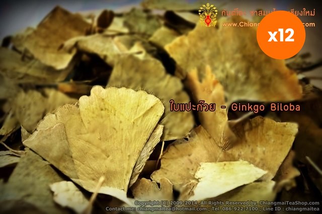 Chiang Mai Tea Ginkgo Biloba Herbal Tea for Memory and Focus Support 1 kg