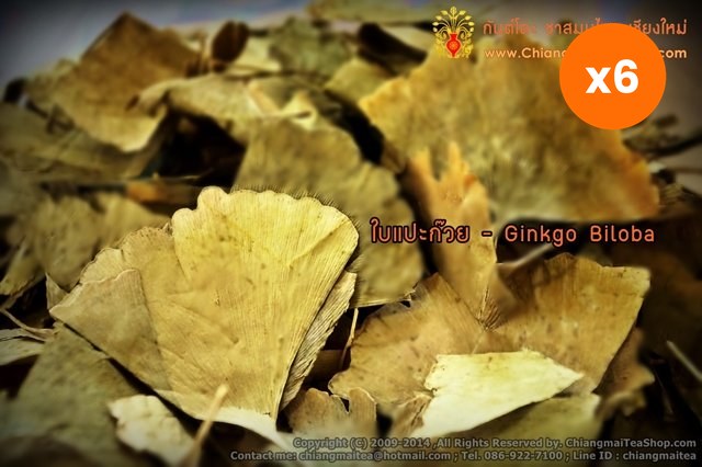 Chiang Mai Tea Ginkgo Biloba Herbal Tea for Memory and Focus Support 1 kg