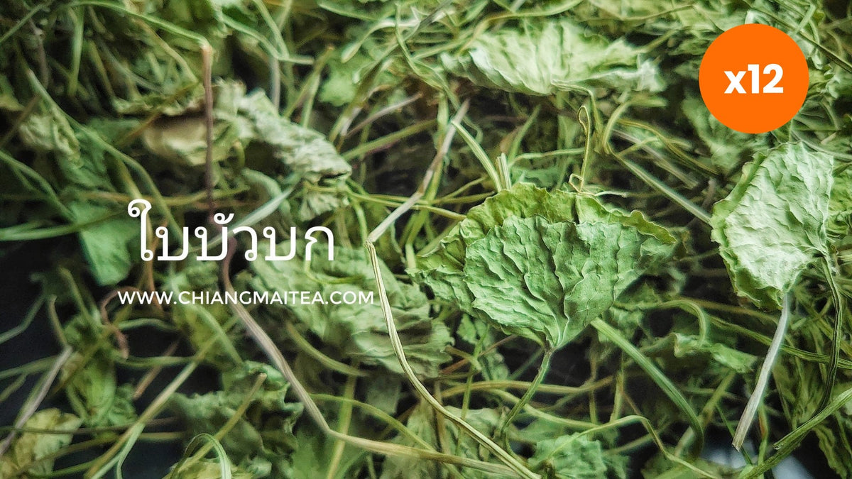 Chiang Mai Tea Gotu Kola Centella Asiatica Herbal Tea Relaxation for Everyday Energy 1 kg