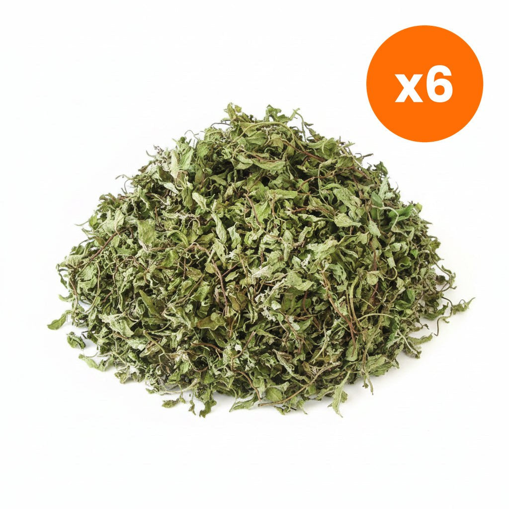 Chiang Mai Tea Japanese Mint Herbal Tea for Digestive Comfort 1 kg