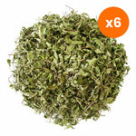 Chiang Mai Tea Japanese Mint Herbal Tea for Digestive Comfort 100 g